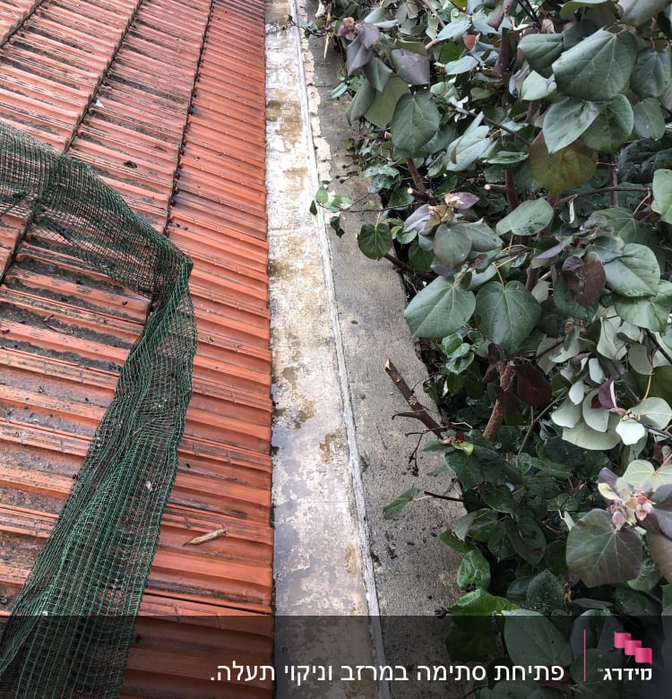 גג רעפים אדומים עם רשת ירוקה מונחת עליו